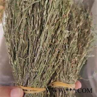 吉康药业独脚金  疳积草 黄花草 消米虫 独脚甘新货颜色好图3