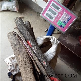 杜仲 大片 产地 河南省平顶山市汝州市图3