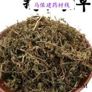 鹅不食草 鹅不食草统段 产地 广西壮族自治区图2
