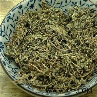 鹅不食草 统 产地 河南省 华美中药 产地直销 重在品质图2