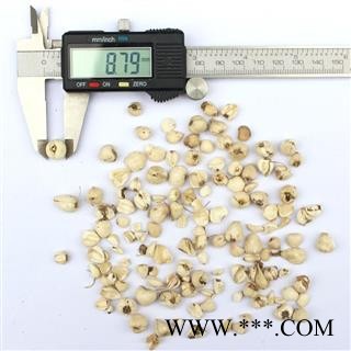 【满298元包邮】川贝母川青贝选货0.65-1.0    100克1袋图3