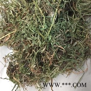 肺心草粉条儿菜 小肺金草 土瞿麦 蛆儿草 野韭菜 金线吊白米 肺筋草 选货 产地 四川省重在品质吉康药业图2