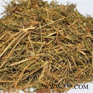 吉康药业 百蕊草  百乳草 细须草 青龙草图2