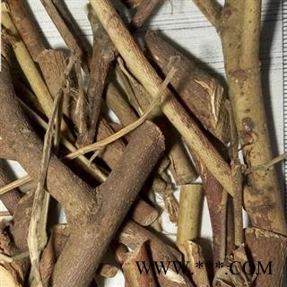 吉康药业地桃花 天下捶 肖梵天花、假桃花、野棉花、狗脚迹、大梅花图2