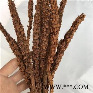 吉康药业中药材不老草  草苁蓉长白山特产不老草图2