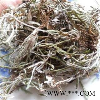 吉康药业 天青地白 毛女儿菜 清明草 细叶鼠曲草 父子草 小地罗汉 小叶金鸡舌 白招曲图2