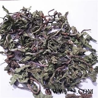 蒲公英 家种蒲公英绿色统段 产地 山西省图4