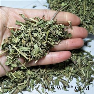 珍珠透骨草 青色珍珠透骨草 产地 四川省图2