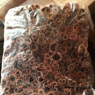 肉桂 小烟桂 产地 广西壮族自治区图2