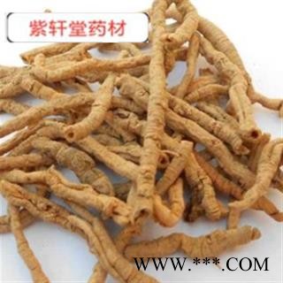 远志 远志筒70% 产地 山西省  品质好图2