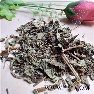 败酱草 北败酱草 产地 安徽省图2