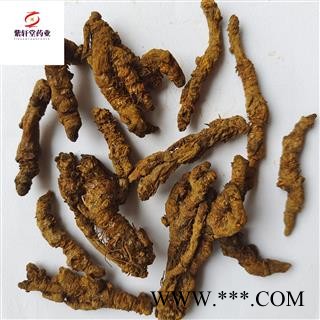 黄连 黄连单支连 统货 产地四川省 地道药材 紫轩堂药业图4