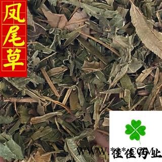 凤尾草 统 颜色好 供应各种中药材 中草药 冷背货 矿石 产地 云南省图4