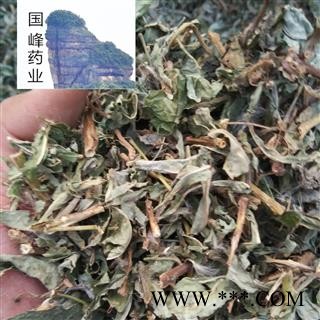 败酱 败酱草 正品野生 低价销售 颜色好 无硫磺 无虫蛀 国峰药业 重在品质 产地 山东省图2