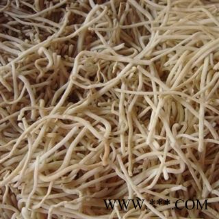 灯心草 选货 产地 江西省图4