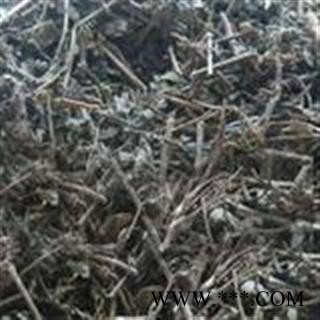 中药材地锦草 地锦 血见愁 血风草 奶花草图2