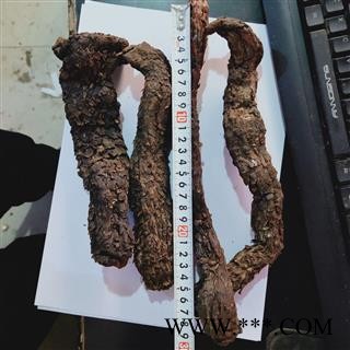 肉苁蓉 本店新到甜大芸个子。个头粗长质量好 产地 新疆维吾尔自治区图2