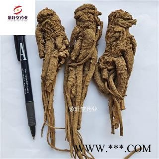 当归 当归个 无硫当归个 产地甘肃省 地道药材 紫轩堂药业图2