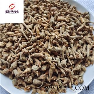 三七 三七芽 水洗三七芽 产地云南省 实物拍摄 免费打粉图4