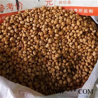 吉康药业跌打豆 华佗豆拐子豆图2