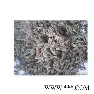 中药材 颠茄草图2