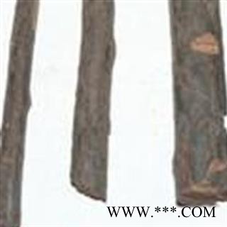 吉康药业棒棒木、棒棒树、棒子木、棒子树、黑弹木、黑弹树、朴树、木黄瓜树、白麻子、白麻树 棒子头图2