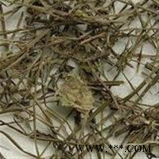 吉康药业中药材半枝莲今年新货图2