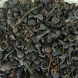 肉桂 肉桂子 产地 广西壮族自治区图3