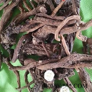 蒲公英根 刚到新货 干净无杂质  统 产地 山东省图2