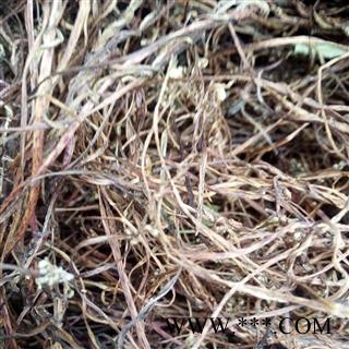 菟丝 野生菟丝草藤 产地 河南省平顶山市汝州市可以机切（供药店）图4