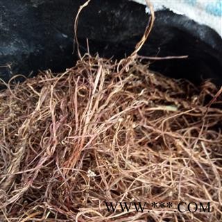 菟丝 野生菟丝草藤 产地 河南省平顶山市汝州市可以机切（供药店）图3