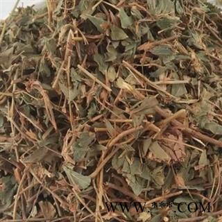 吉康药业鸡眼草 掐不齐 人字草 妹子草 红花草图2