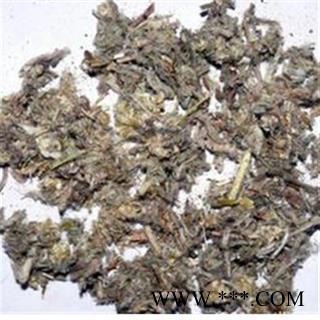 鼠曲草 统货  无杂质 质量好 产地 江苏省图2