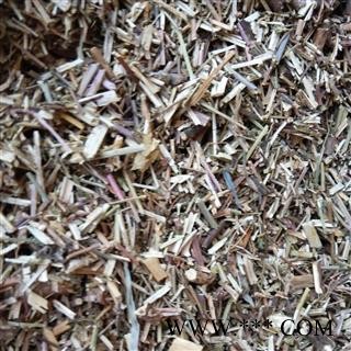 正品新货好荆芥 颜色好 产地直销图2