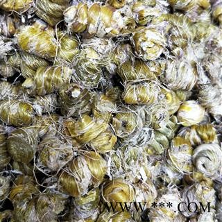 铁皮石斛 霍山石斛 产地 安徽省六安市霍邱县图3