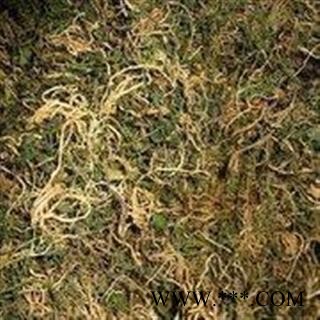 半边莲 半边莲统货 产地 江苏省图2