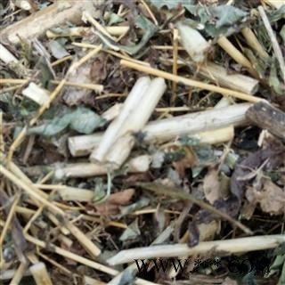 大蓟 野生大片 产地 河南省平顶山市汝州市图3