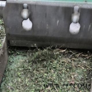 野生瓜子金 野生来马回（瓜子金）精选 产地 河南省平顶山市汝州市图2