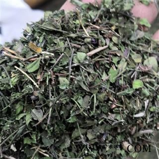 野生瓜子金 野生来马回（瓜子金）精选 产地 河南省平顶山市汝州市图3