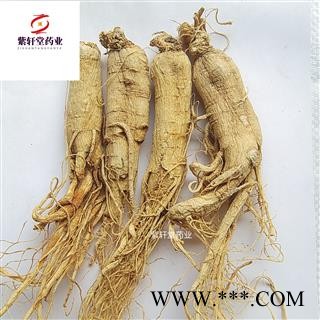 人参 生晒参15支 全干货 质量好价格低 产地吉林省图2