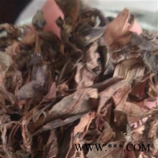 金线莲 野生金线莲 产地 福建省图3