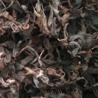 金线莲 野生金线莲 产地 福建省图2