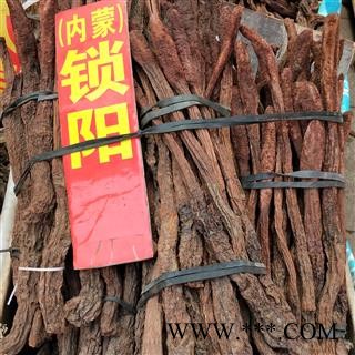 锁阳个 锁阳选装大条 产地 内蒙古自治区图2