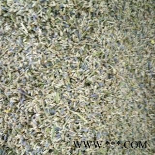 薰衣草 统货 产地 福建省图3