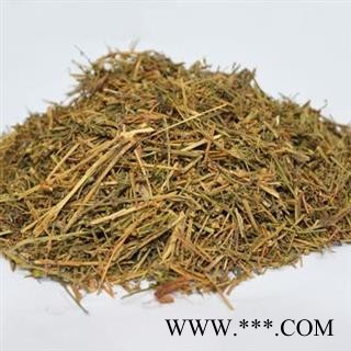 百蕊草 百乳草、小草、细须草、青龙草 段 统货 产地 河北省图2