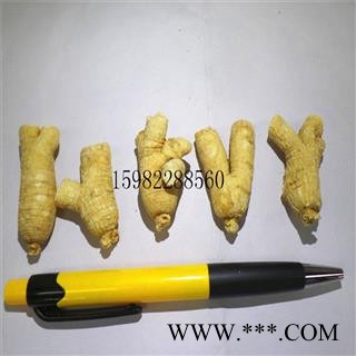 【满298元包邮】西洋参粒头2-10g 产地 吉林省白山市市辖区图2