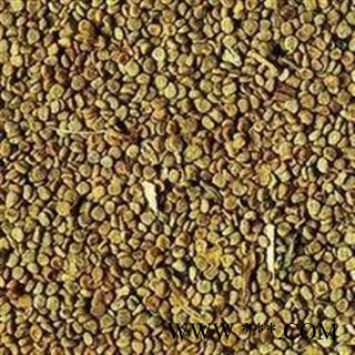 吉康药业中药中药材小颠茄子 牙痛子颠茄 牙痛子图2