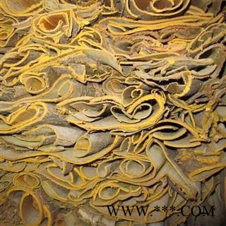 黄柏 统装 产地 辽宁省抚顺市抚顺县图2