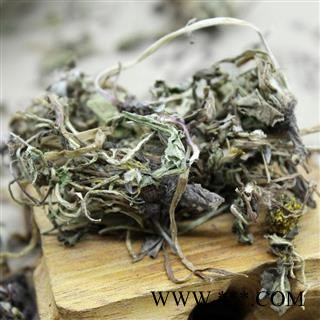 蒲公英 野生蒲公英绿色统货 产地 山西 华美中药 产地直销 重在品质图3