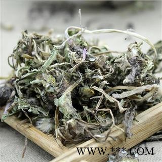 蒲公英 野生蒲公英绿色统货 产地 山西 华美中药 产地直销 重在品质图2